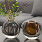 VIANASA'S Spherical Glass Vase