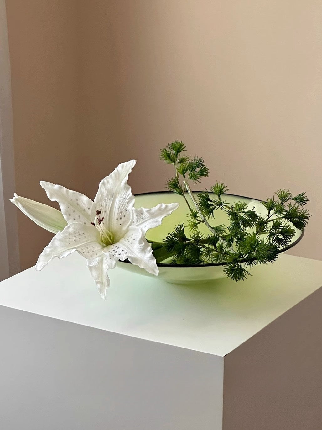 GOGLASSCUP Glass Fruit Plate - Goglasscup