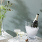 LSA Butterfly-shaped Champagne Glass - Goglasscup